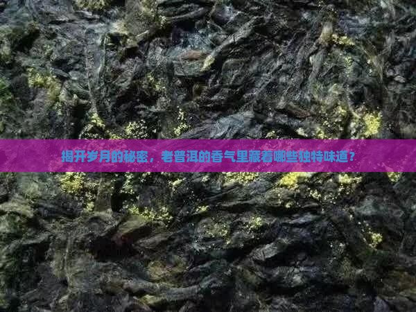 老普洱茶香有几种味道
