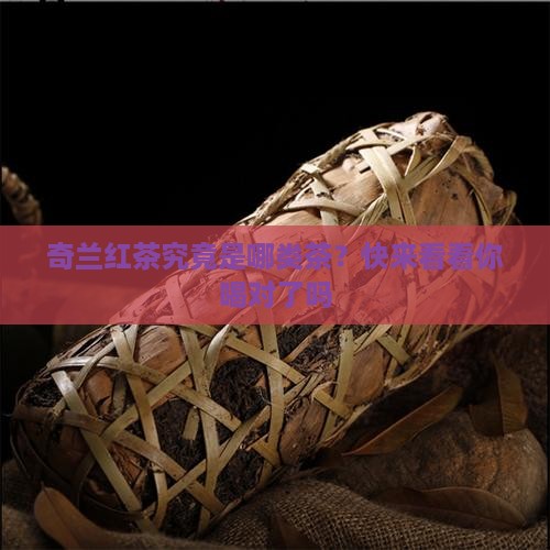 奇兰红茶属什么茶
