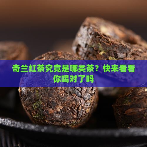 奇兰红茶属什么茶