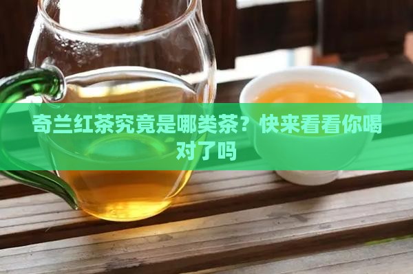 奇兰红茶属什么茶