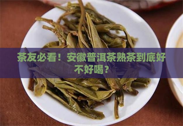 安徽普洱茶熟茶