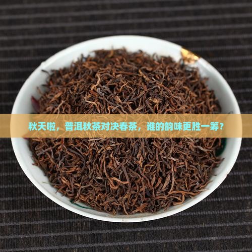 普洱茶是秋茶好还是春茶好