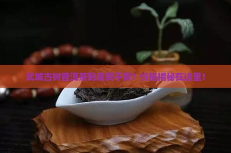 武城古树普洱茶价格查询