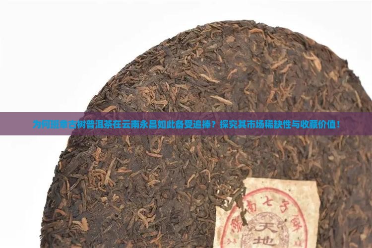 班章古树普洱茶云南永昌