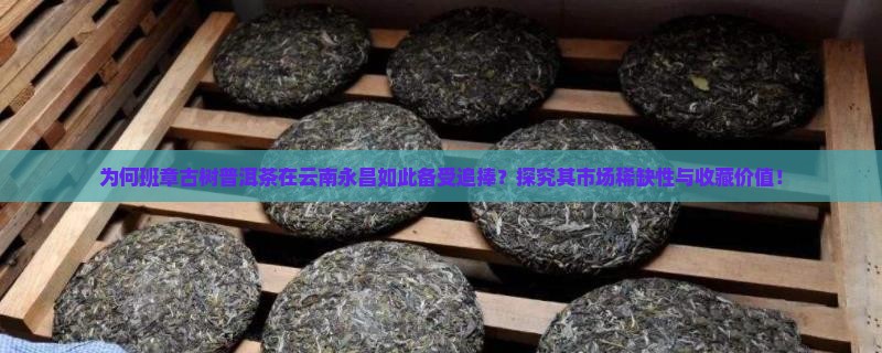 班章古树普洱茶云南永昌