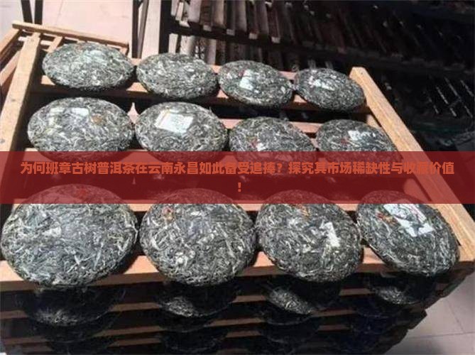 班章古树普洱茶云南永昌