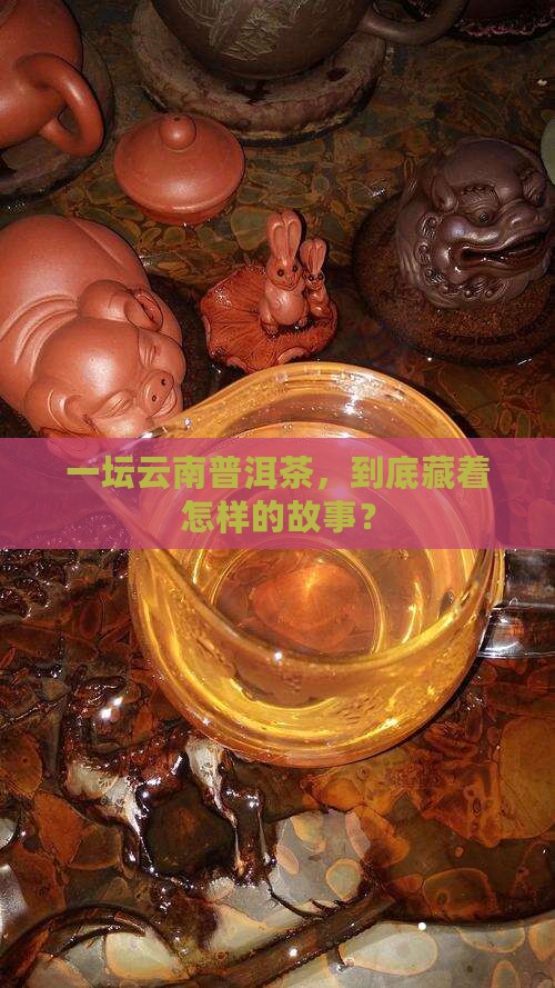 云南普洱茶多少钱一坛