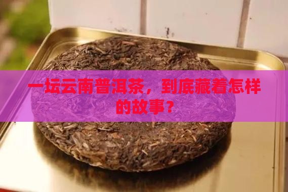 云南普洱茶多少钱一坛