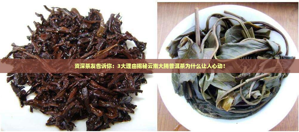 云南大腾的普洱茶怎么样