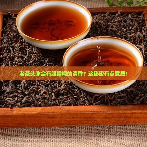老茶头为什么有糯米香 老茶头为什么有糯米香