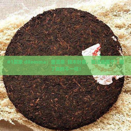 普洱茶和辣木叶茶哪个好