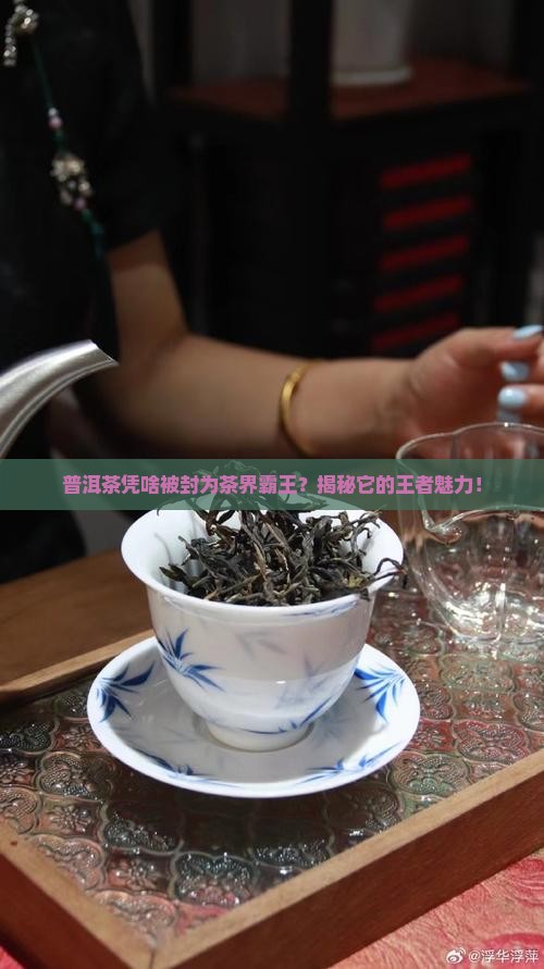 普洱茶为什么是茶叶之王