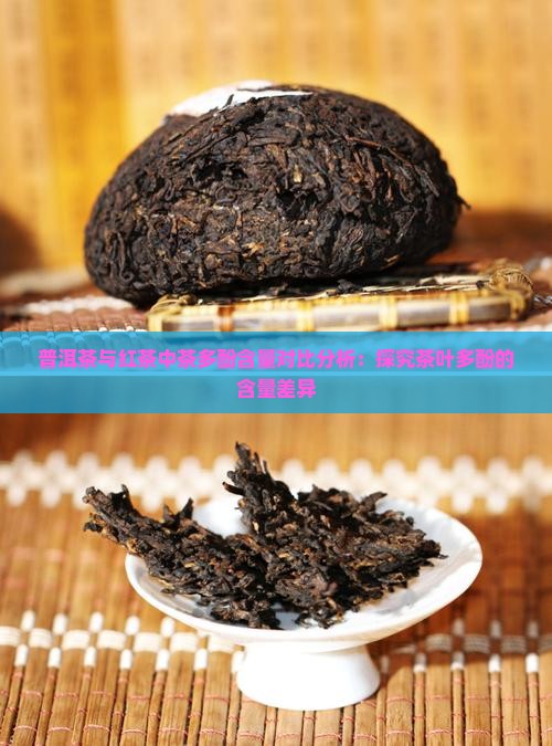 红茶和普洱茶的茶多酚含量
