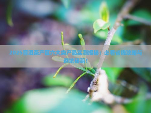 普洱茶产区六大类产品