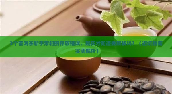 普洱茶需要存放袋吗现在