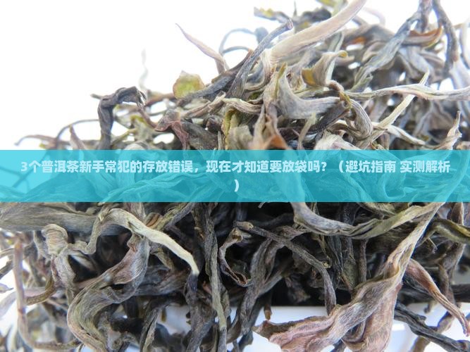 普洱茶需要存放袋吗现在
