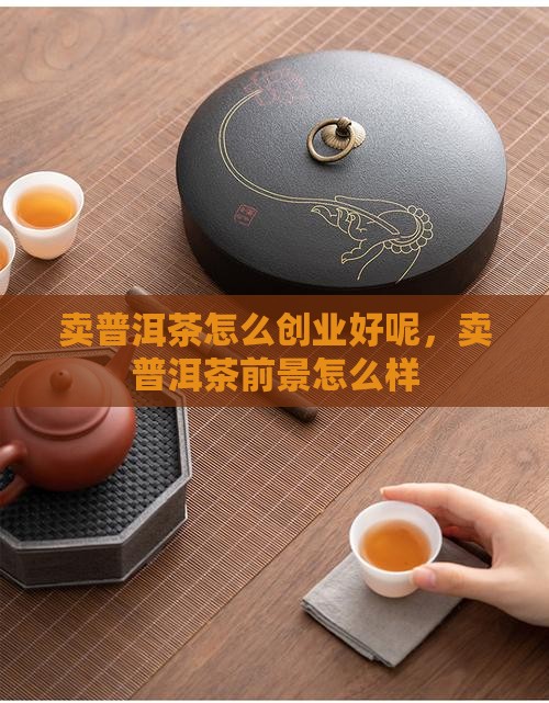 卖普洱茶怎么创业好