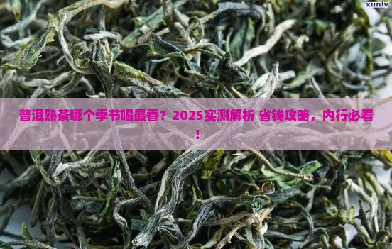 普洱茶熟茶什么季节泡好