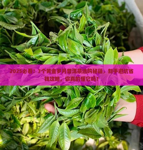 2019黄金岁月普洱茶