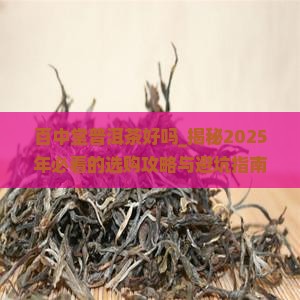 百中堂普洱茶好吗