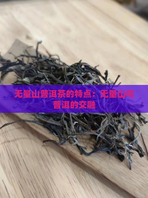 无量山茶的特性