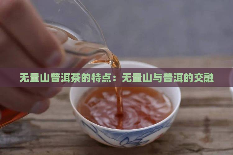 无量山茶的特性