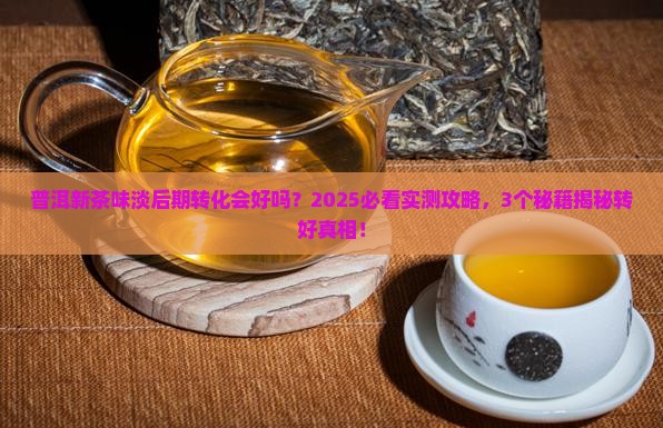 普洱新茶味淡后期转化会好吗