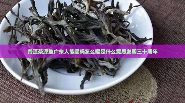 普洱茶渥堆广东人