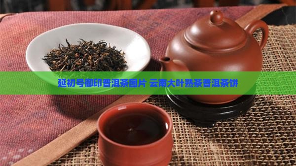 延初号御印普洱茶