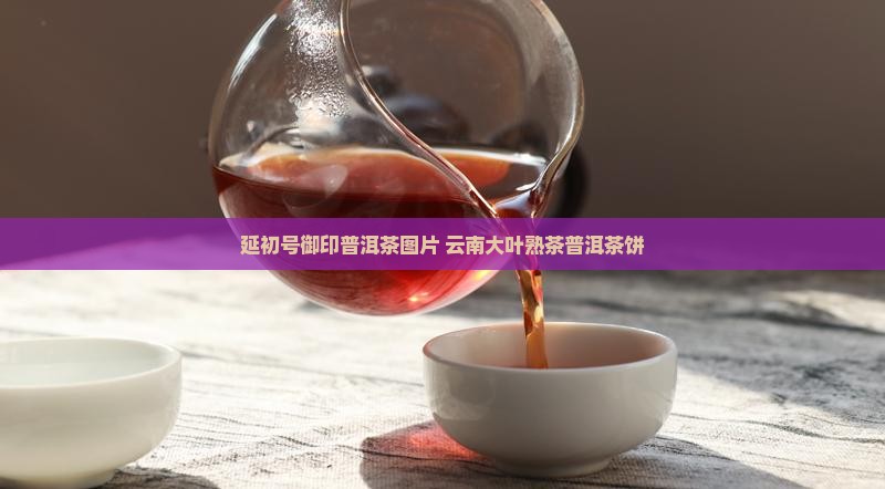 延初号御印普洱茶