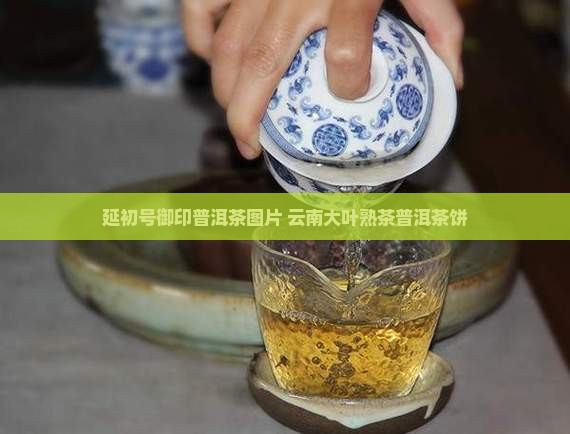 延初号御印普洱茶