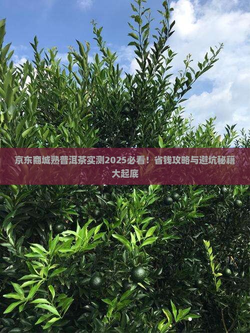 京东商城熟普洱茶