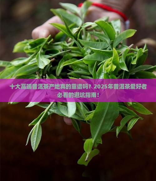 十大高端普洱茶产地