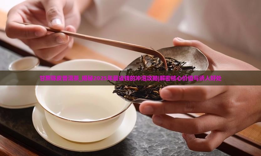 甘蔗陈皮普洱茶