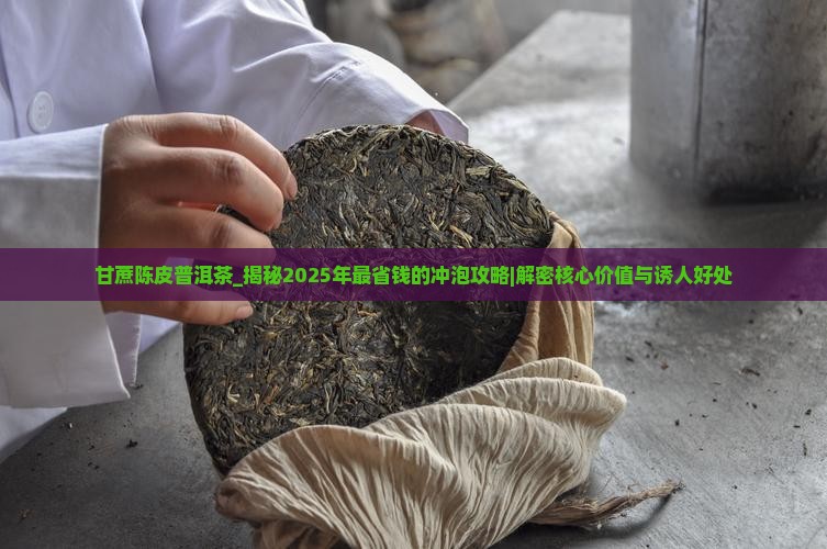 甘蔗陈皮普洱茶