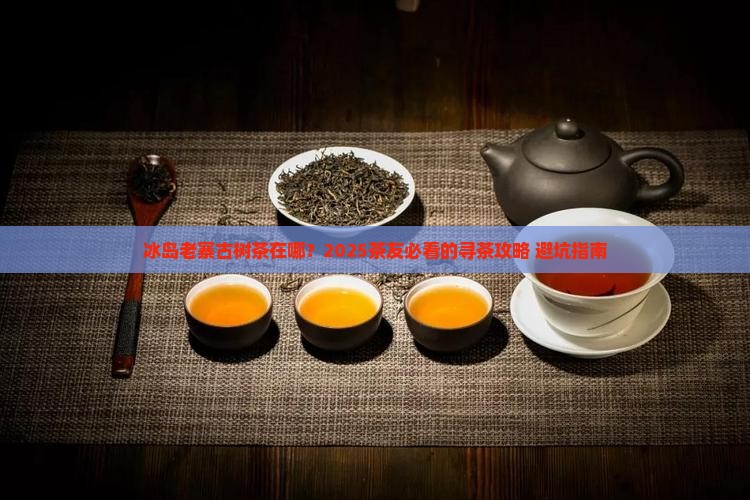 冰岛老寨古树茶位置