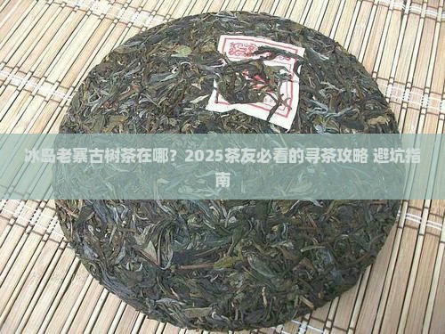 冰岛老寨古树茶位置