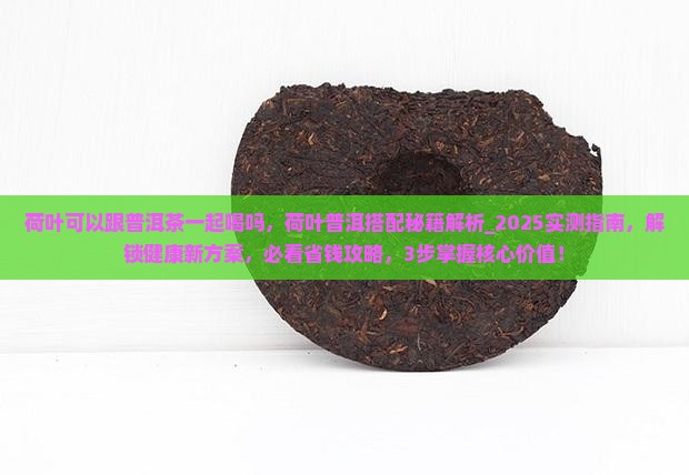 荷叶可以跟普洱茶一起喝吗 荷叶可以跟普洱茶一起喝吗