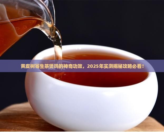 黄皮树寄生茶煲鸡功效