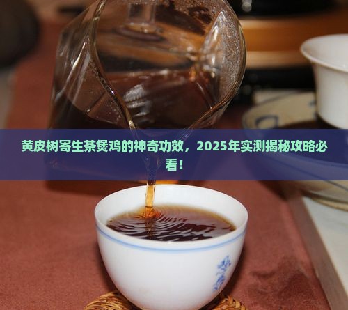 黄皮树寄生茶煲鸡功效
