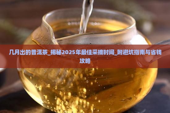 几月出的普洱茶