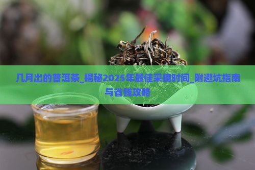 几月出的普洱茶