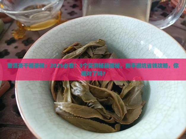 普洱茶千禧茶砖