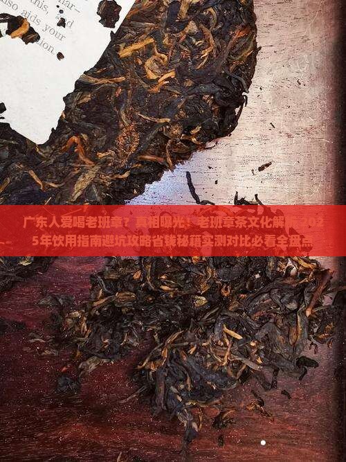广东人爱喝老班章