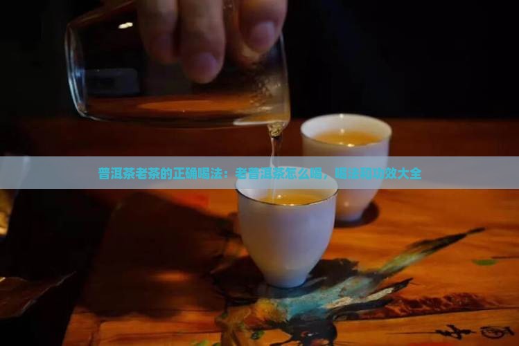 普洱茶老茶的正确喝法
