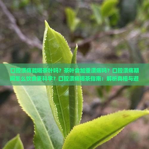口腔溃疡能喝茶叶吗