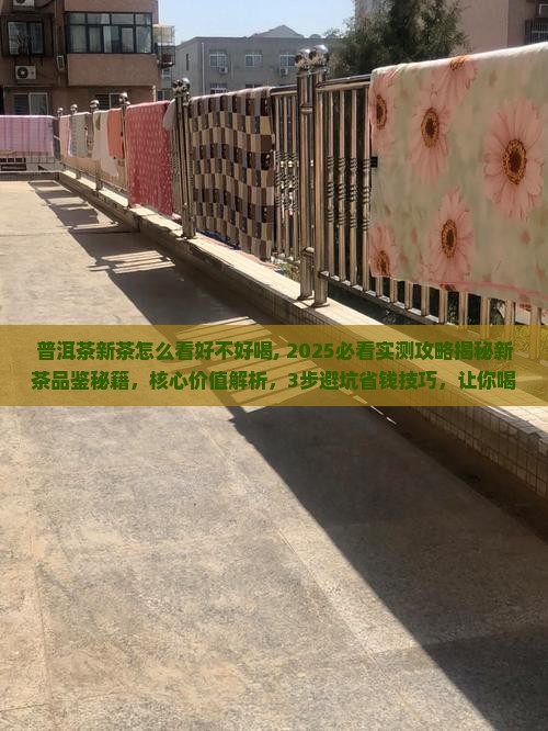 普洱茶新茶怎么看好不好喝