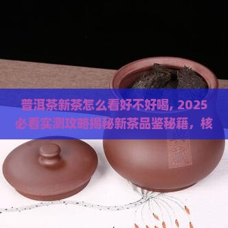 普洱茶新茶怎么看好不好喝