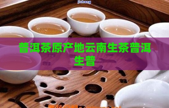 普洱茶原产地生普