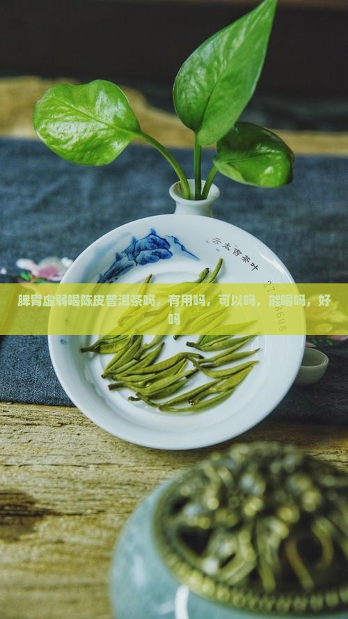 脾胃虚弱喝陈皮普洱茶吗